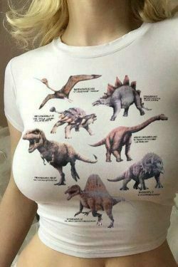 vintage clothing & 8211 dinosaur graphic slim crop tee 2339