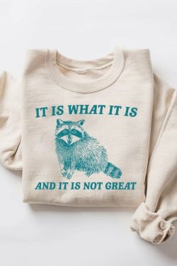 it is what it is and it is not great sweatshirt mental health sweatshirt funny sweatshirt women meme sweatshirt raccoon shirt gag tee gk8hl