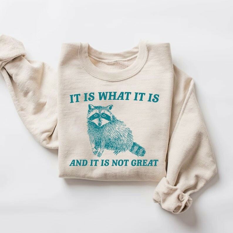 it is what it is and it is not great sweatshirt mental health sweatshirt funny sweatshirt women meme sweatshirt raccoon shirt gag tee gk8hl