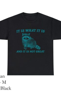 it is what it is and it is not great sweatshirt mental health sweatshirt funny sweatshirt women meme sweatshirt raccoon shirt gag tee hfurr