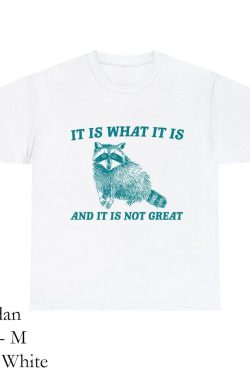 it is what it is and it is not great sweatshirt mental health sweatshirt funny sweatshirt women meme sweatshirt raccoon shirt gag tee nrpkr