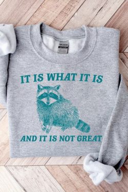 it is what it is and it is not great sweatshirt mental health sweatshirt funny sweatshirt women meme sweatshirt raccoon shirt gag tee yis8y