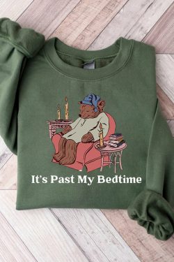 its past my bedtime shirt funny sleppy bear sweater funny bear meme shirt trendy unisex shirt gift for her xmas funny saying shirt gtph2