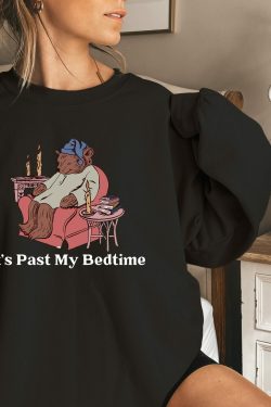 its past my bedtime shirt funny sleppy bear sweater funny bear meme shirt trendy unisex shirt gift for her xmas funny saying shirt pdccw